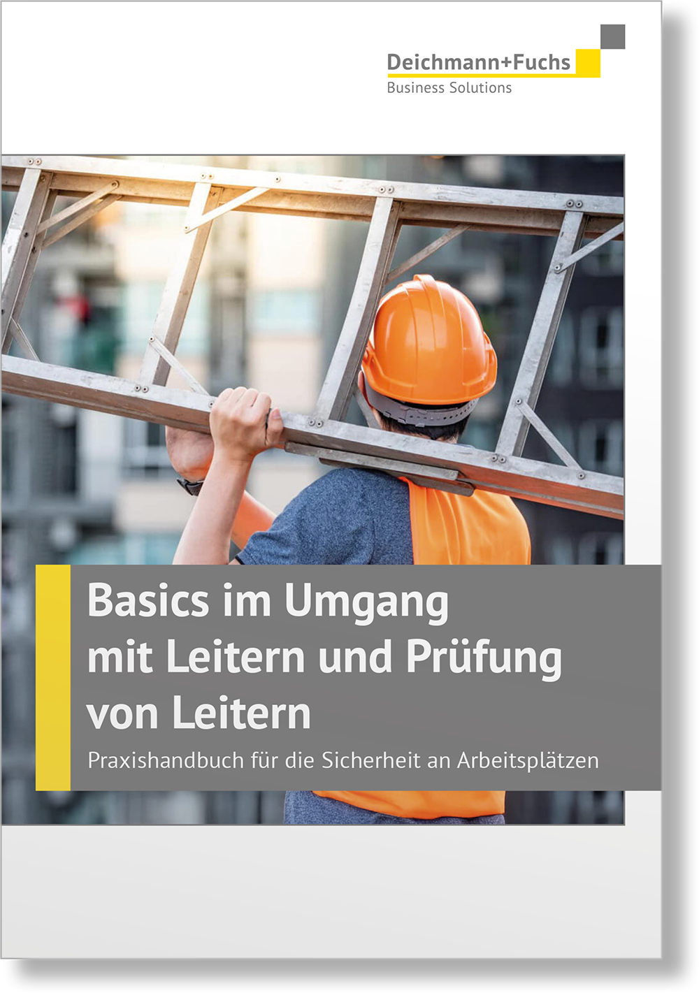 Dieses Bild zeigt das Produkt Basics im Umgang mit Leitern und Prüfung von Leitern