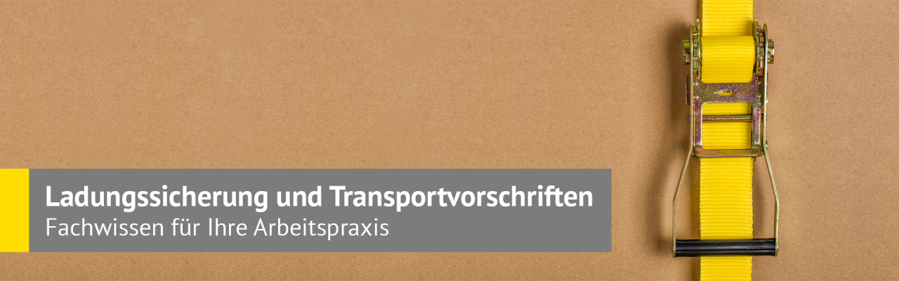 Inhouse Schulungen: Ladungssicherung und Transportvorschriften