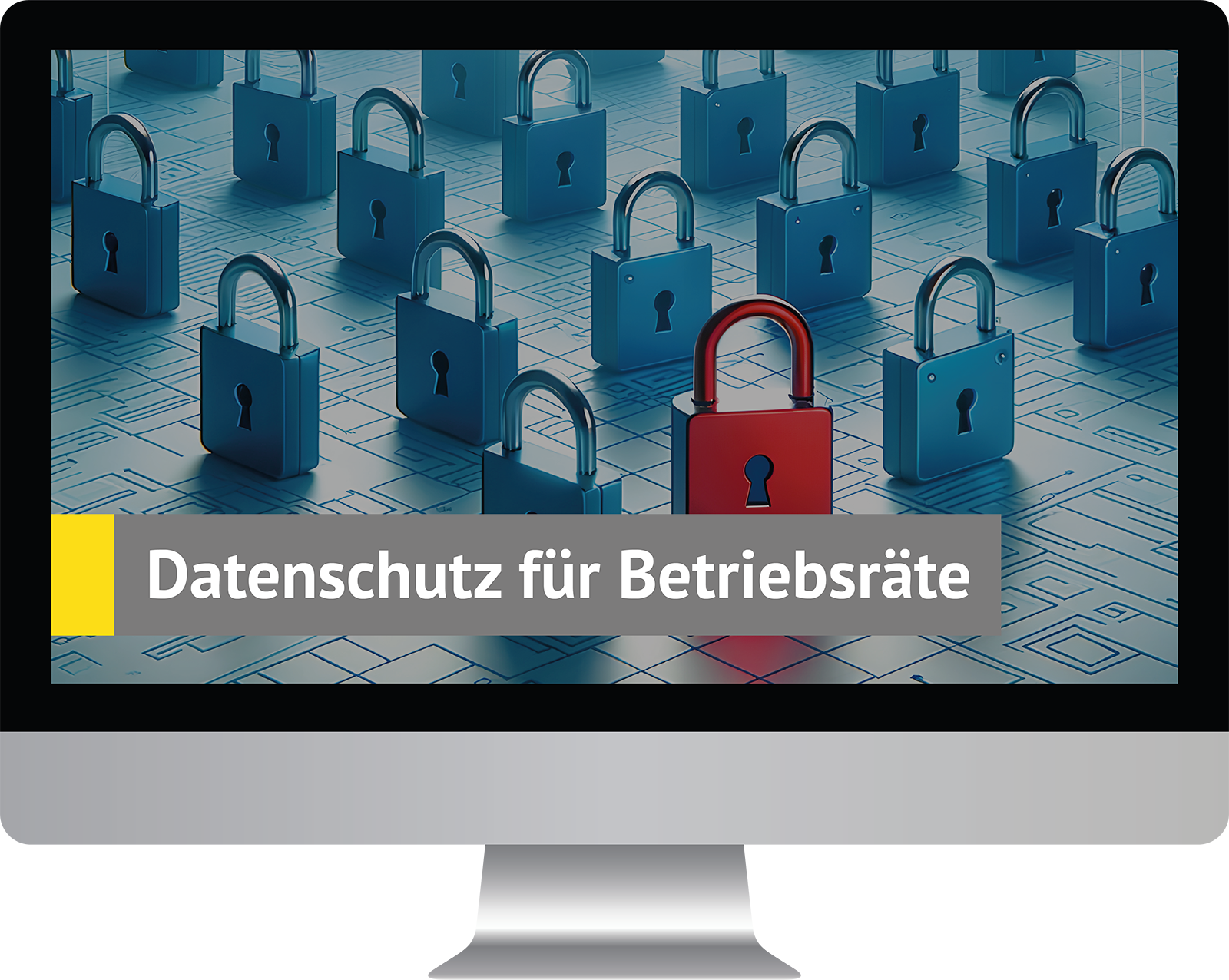 Dieses Bild zeigt das Produkt Datenschutz für Betriebsräte